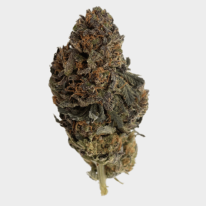 amnesia haze fiore di cbd