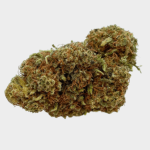 infiorescenza di cannabis light genetica yerba santa cbd